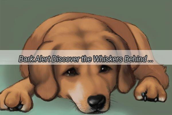 Bark Alert Discover the Whiskers Behind Your Dogs Doorbell Dilemma